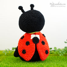 Load image into Gallery viewer, Yarn package Ladybug Dot