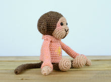Load image into Gallery viewer, Mini Monkey Ankie